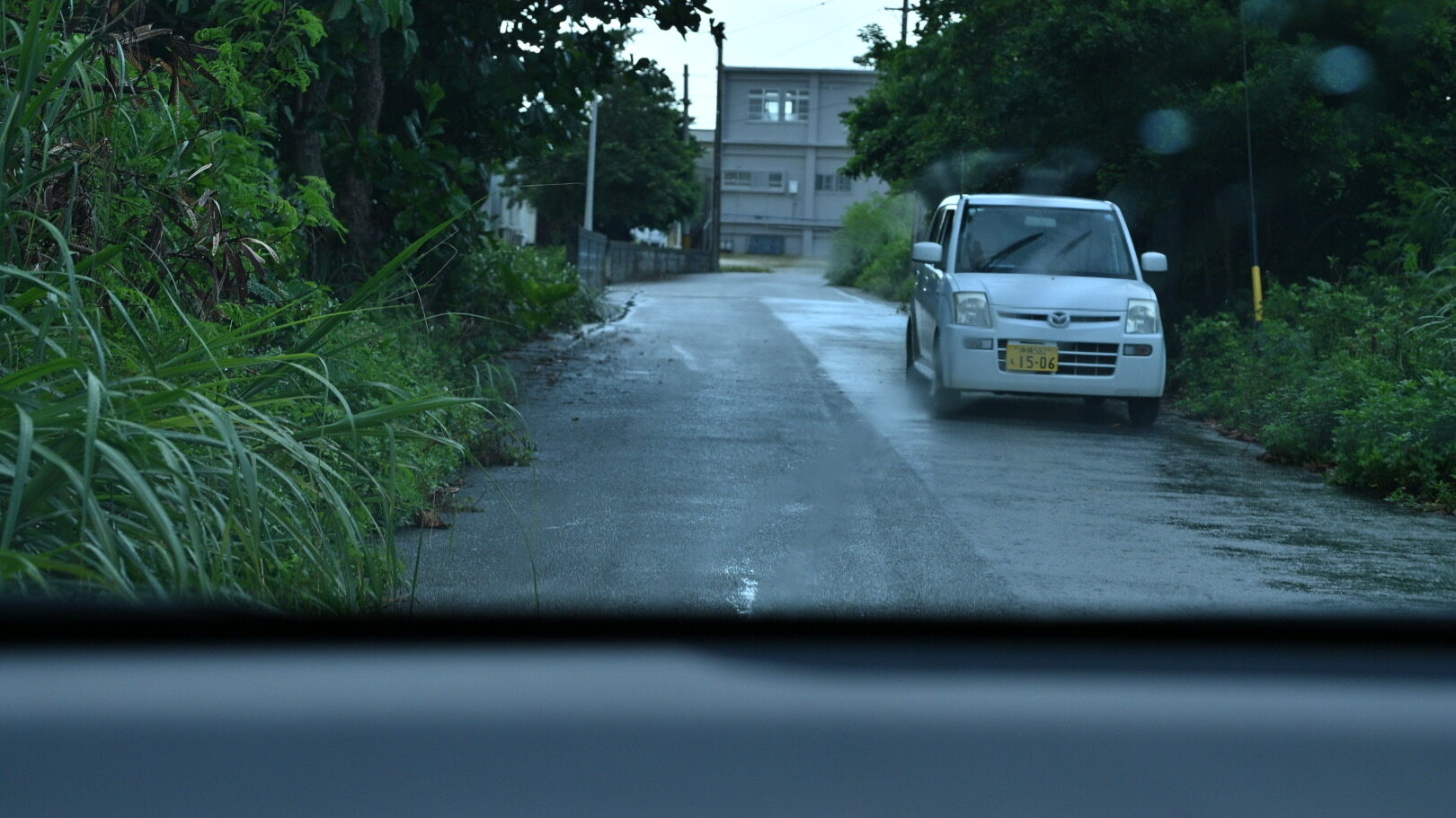 宮古島の道路脇から植物が張り出している様子